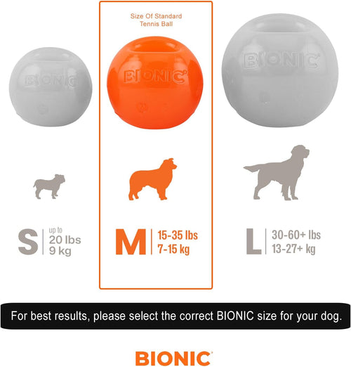 Ultra-Tough Interactive Treat Ball