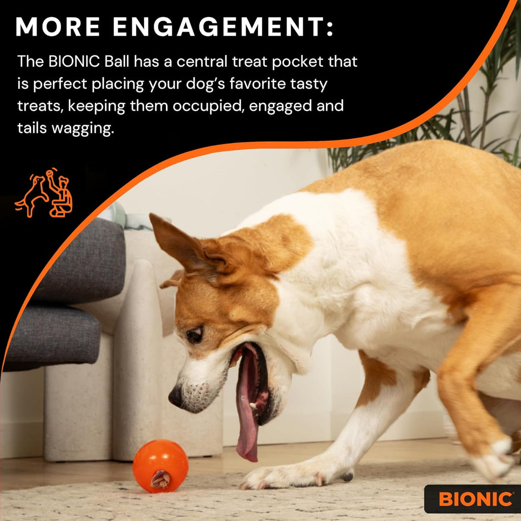 Ultra-Tough Interactive Treat Ball